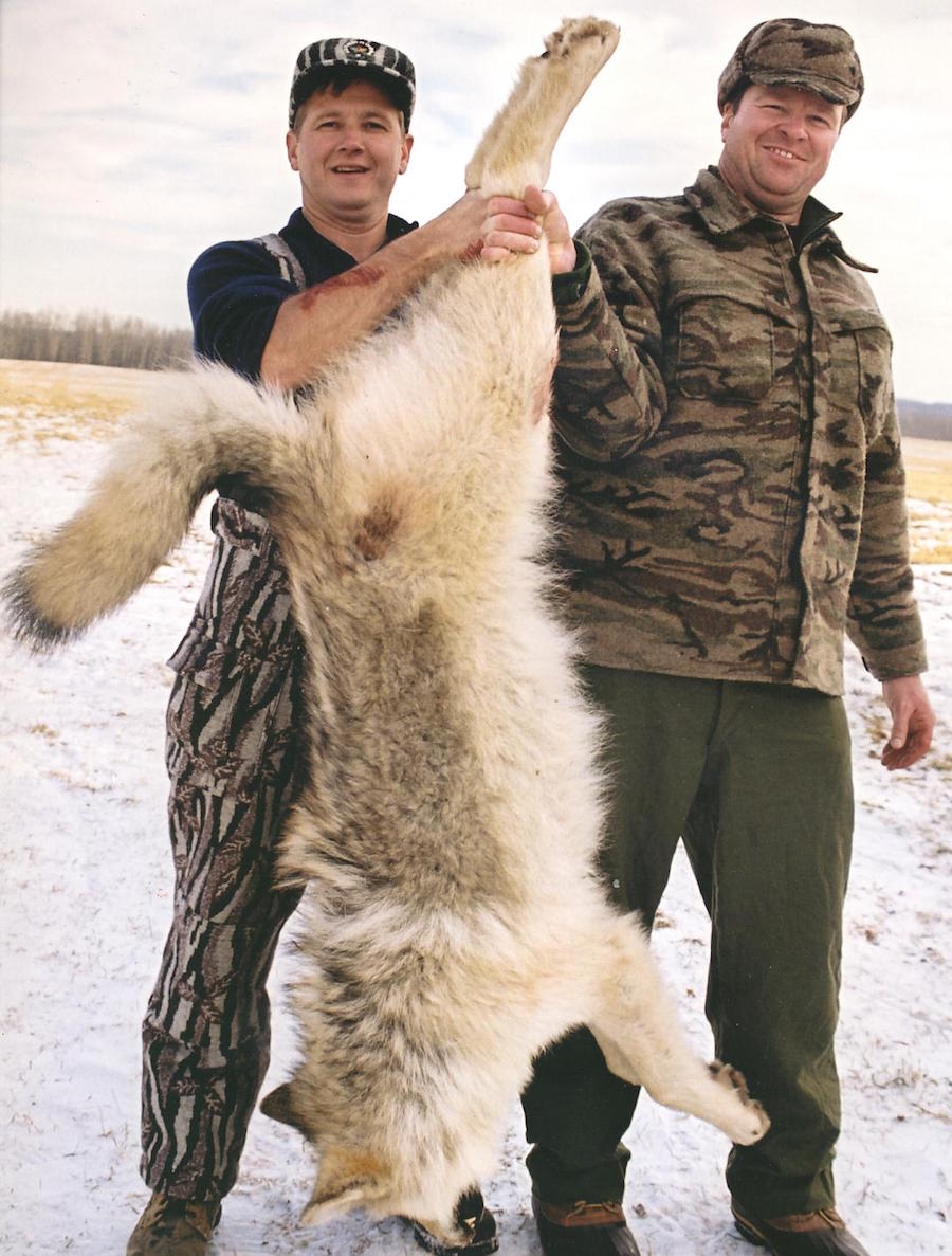 Northern Alberta Wolf Hunting
