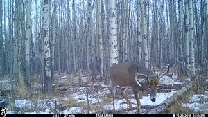 Field Photos